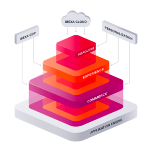 Ibexa model.png